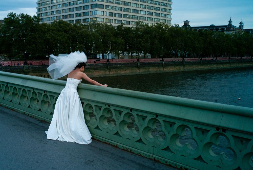 Photograph by Harvey Davies (2 of 13)